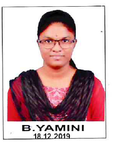 B YAMINImdpi