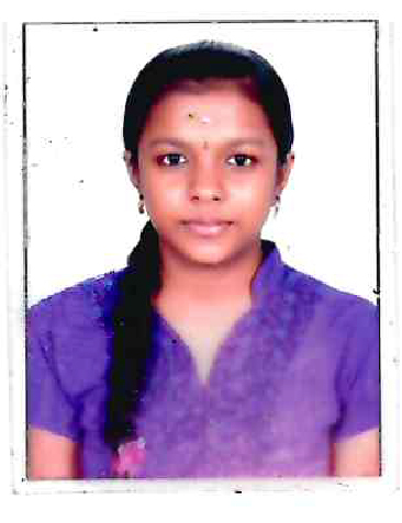SINDHU Mmdpi