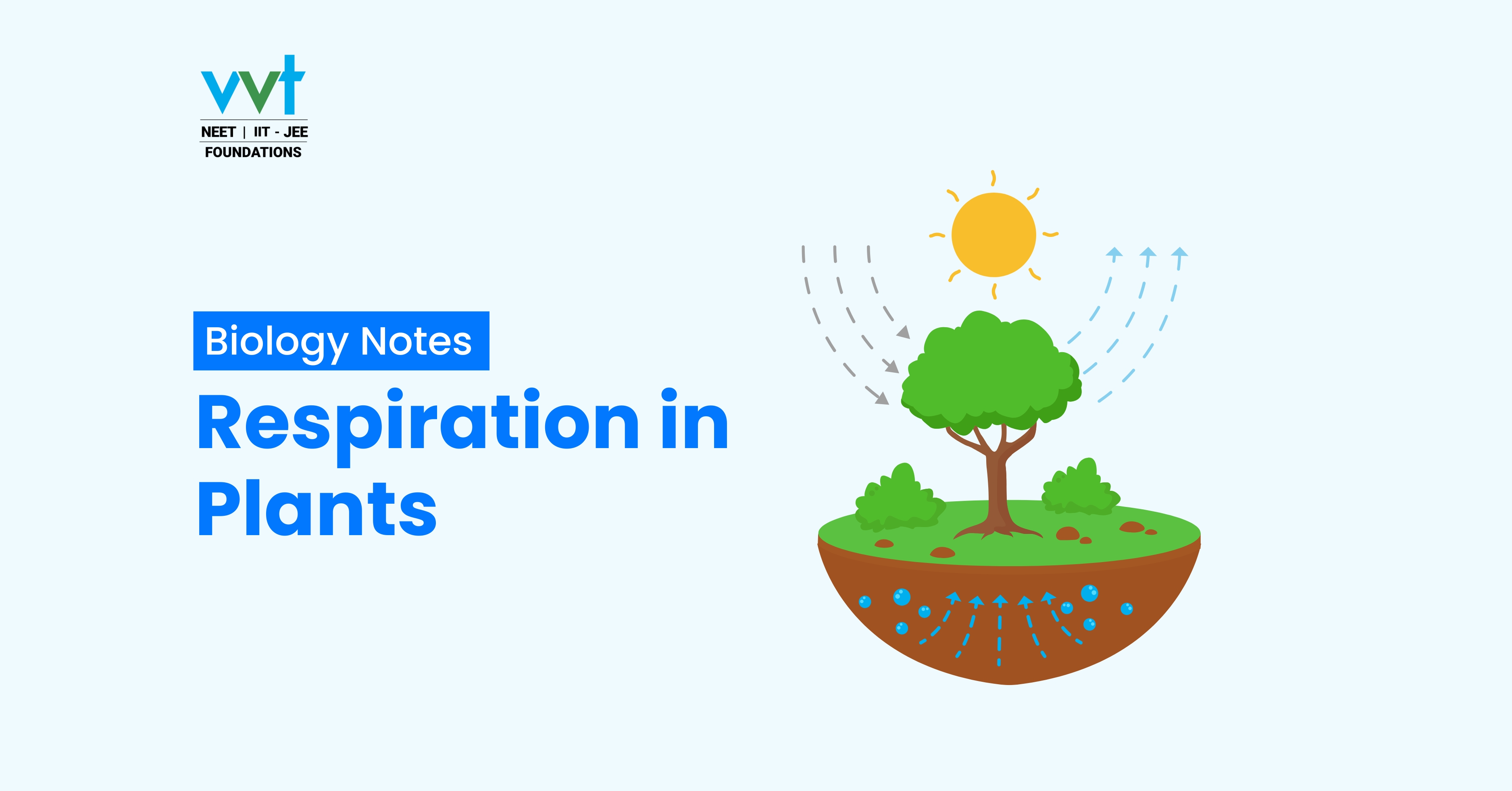 Respiration in Plants - NEET 2025 Study Guide by VVT Coaching"